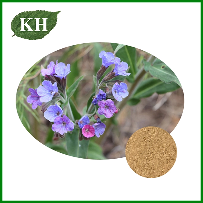 Lungwort Extract